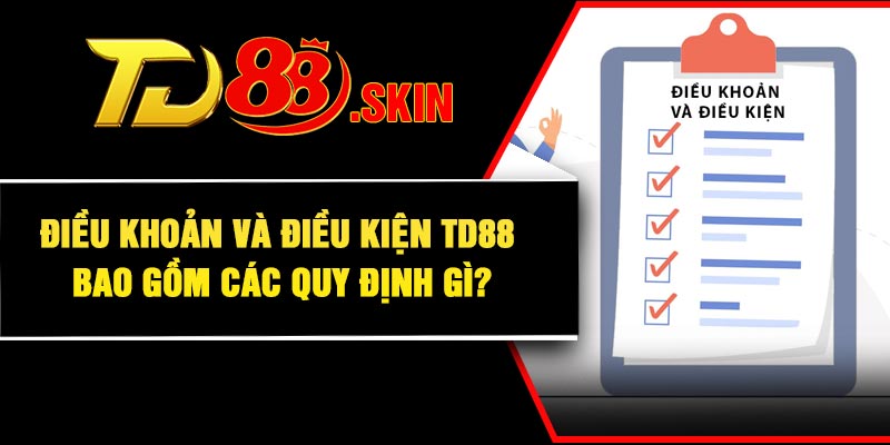 Điều khoản và điều kiện TD88 bao gồm các quy định gì?